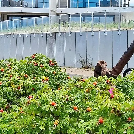 6 Personen In アパート *